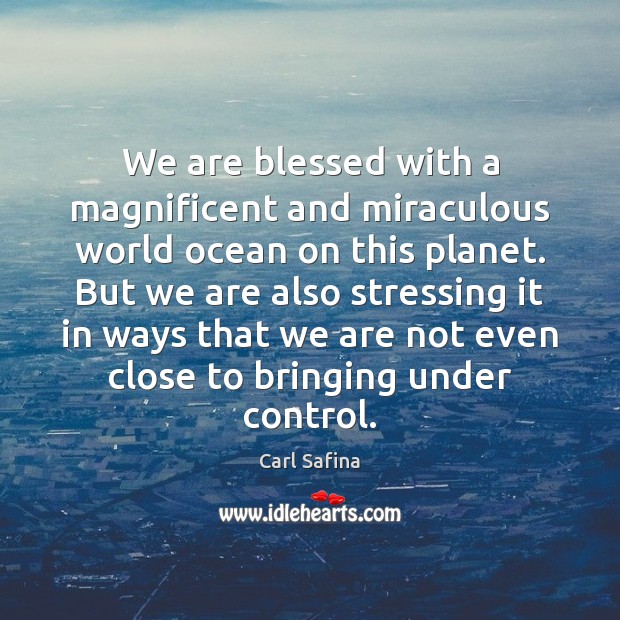We are blessed with a magnificent and miraculous world ocean on this Carl Safina Picture Quote