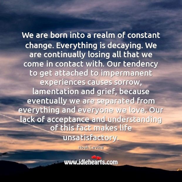 We are born into a realm of constant change. Everything is decaying. Noah Levine Picture Quote