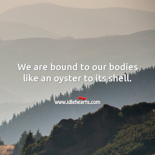 We are bound to our bodies like an oyster to its shell. Plato Picture Quote