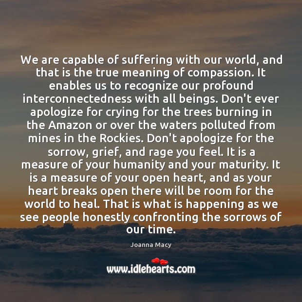 We are capable of suffering with our world, and that is the Heal Quotes Image