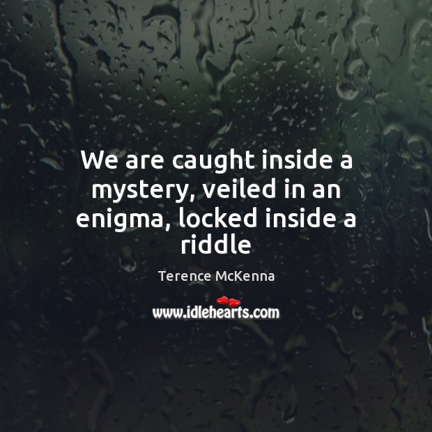 We are caught inside a mystery, veiled in an enigma, locked inside a riddle Terence McKenna Picture Quote
