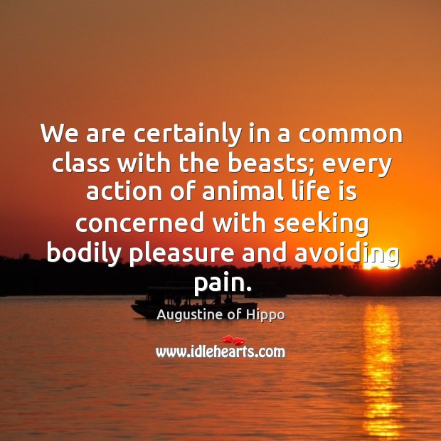 We are certainly in a common class with the beasts; every action of animal life is concerned Life Quotes Image