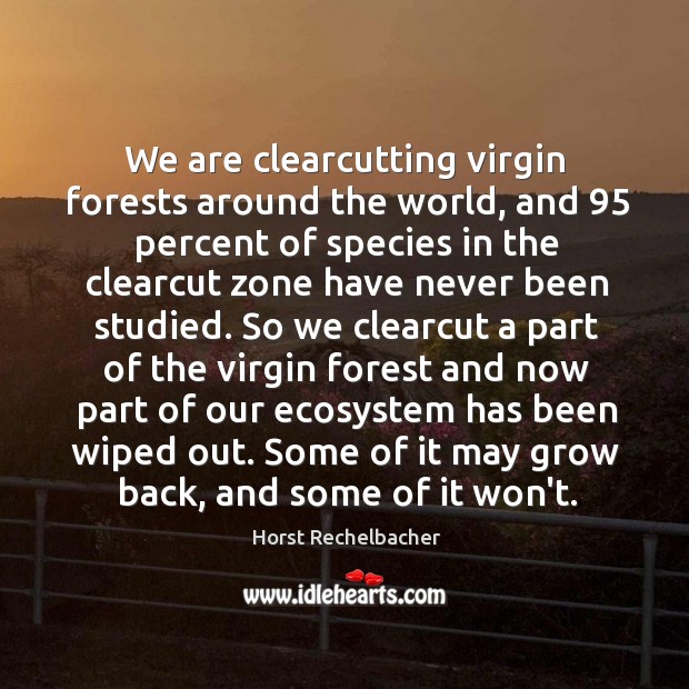 We are clearcutting virgin forests around the world, and 95 percent of species Image