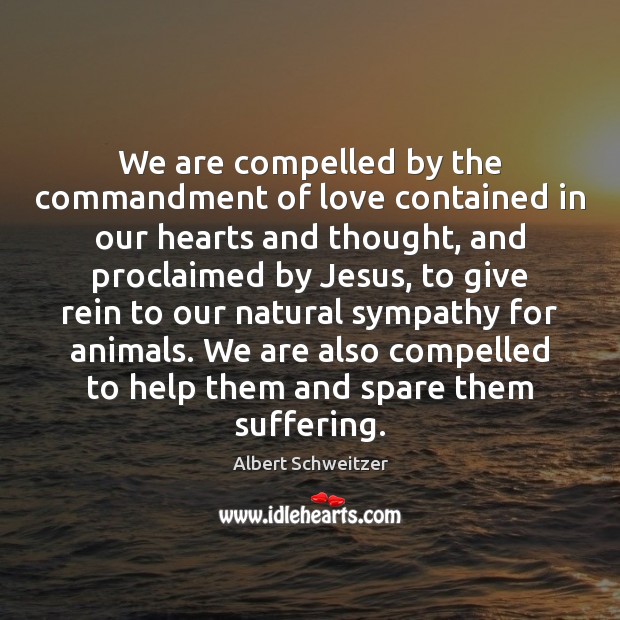 We are compelled by the commandment of love contained in our hearts Albert Schweitzer Picture Quote