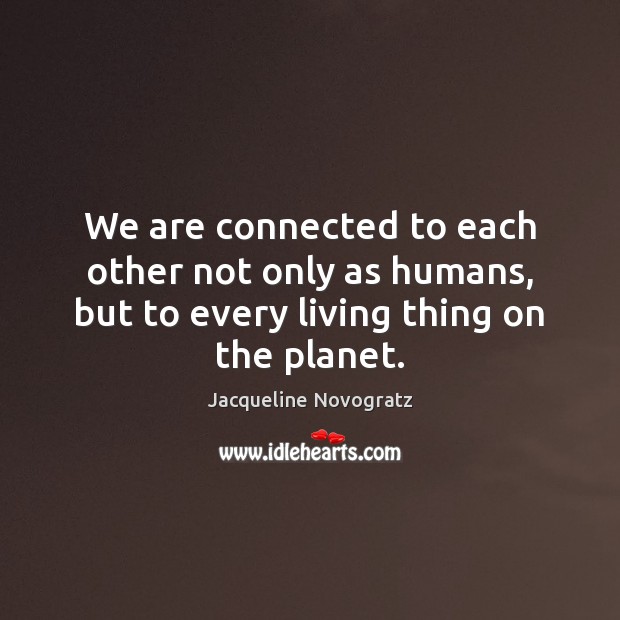 We are connected to each other not only as humans, but to Jacqueline Novogratz Picture Quote