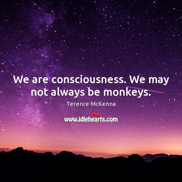 We are consciousness. We may not always be monkeys. Terence McKenna Picture Quote