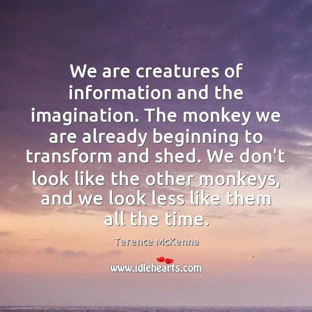 We are creatures of information and the imagination. The monkey we are Terence McKenna Picture Quote