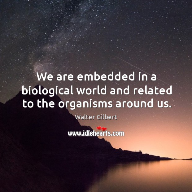 We are embedded in a biological world and related to the organisms around us. Walter Gilbert Picture Quote