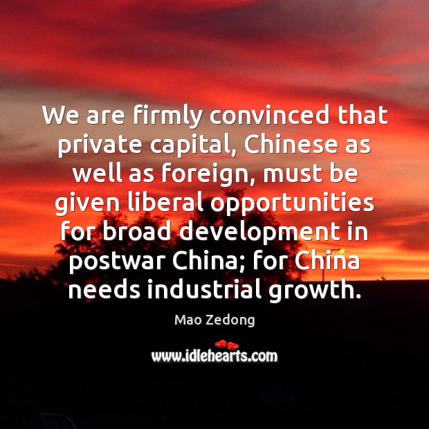 We are firmly convinced that private capital, Chinese as well as foreign, Growth Quotes Image