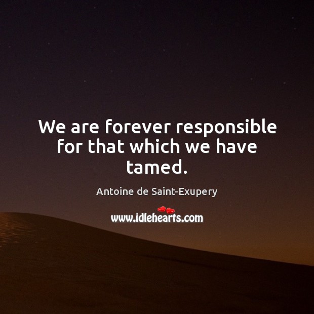 We are forever responsible for that which we have tamed. Antoine de Saint-Exupery Picture Quote