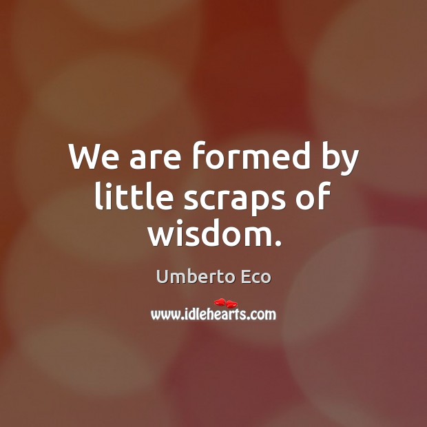 We are formed by little scraps of wisdom. Image