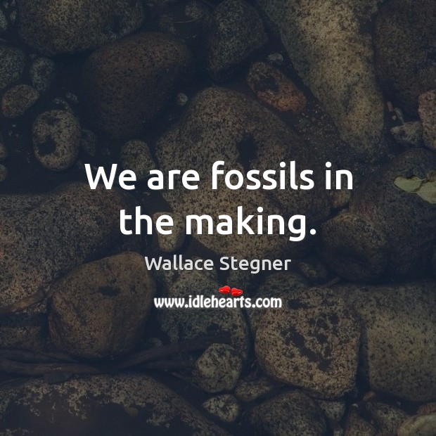 We are fossils in the making. Wallace Stegner Picture Quote