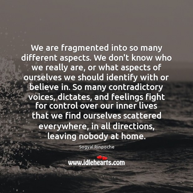 We are fragmented into so many different aspects. We don’t know who Sogyal Rinpoche Picture Quote