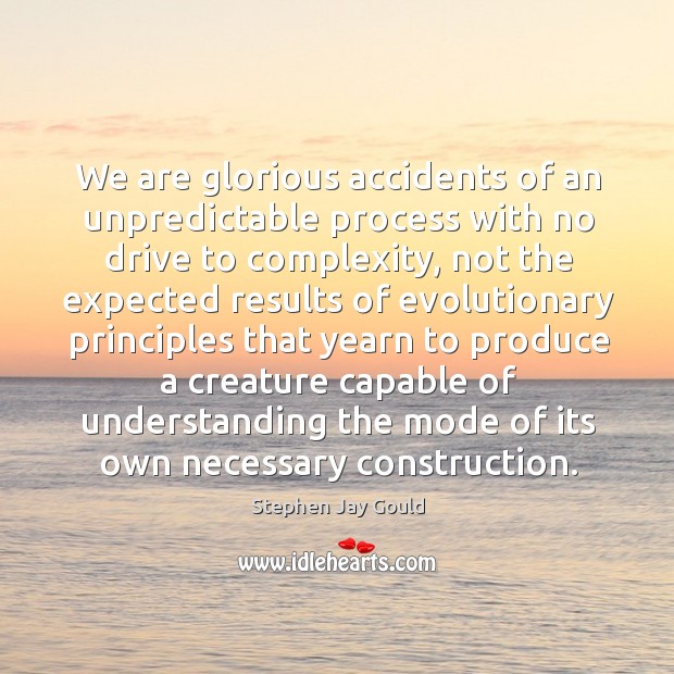 We are glorious accidents of an unpredictable process with no drive to complexity Image