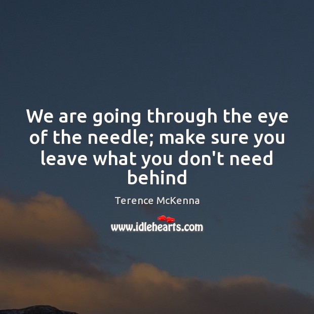 We are going through the eye of the needle; make sure you leave what you don’t need behind Terence McKenna Picture Quote