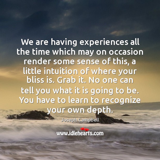 We are having experiences all the time which may on occasion render Joseph Campbell Picture Quote