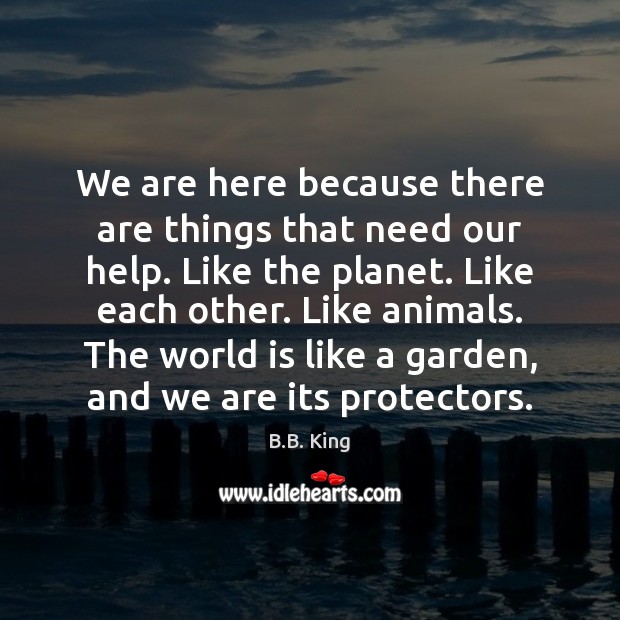 We are here because there are things that need our help. Like B.B. King Picture Quote