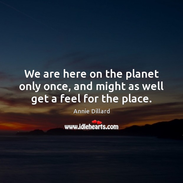 We are here on the planet only once, and might as well get a feel for the place. Annie Dillard Picture Quote