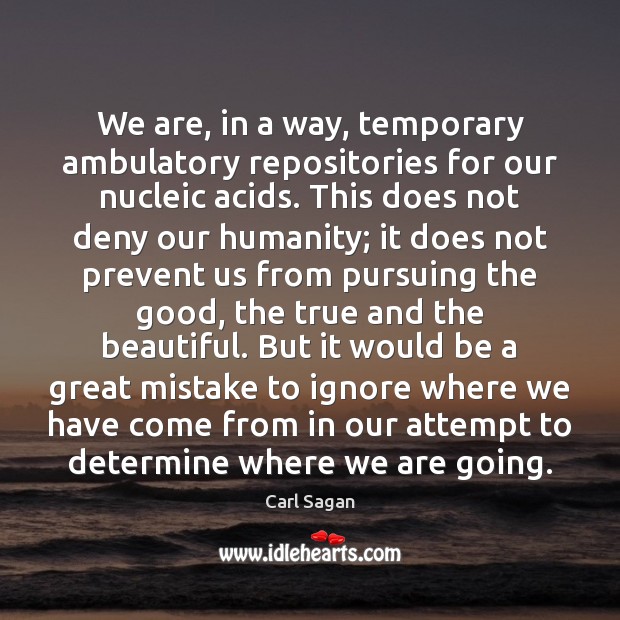 We are, in a way, temporary ambulatory repositories for our nucleic acids. Carl Sagan Picture Quote