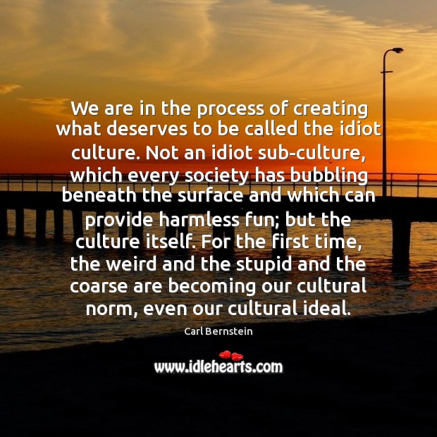 We are in the process of creating what deserves to be called Carl Bernstein Picture Quote