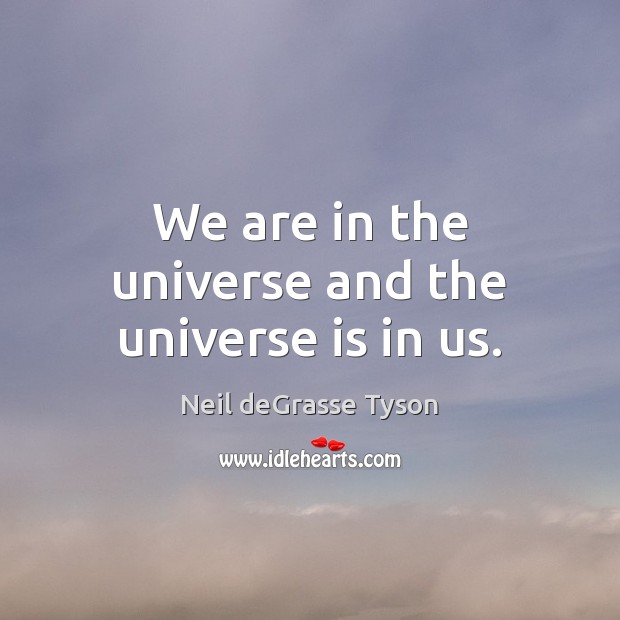 We are in the universe and the universe is in us. Neil deGrasse Tyson Picture Quote