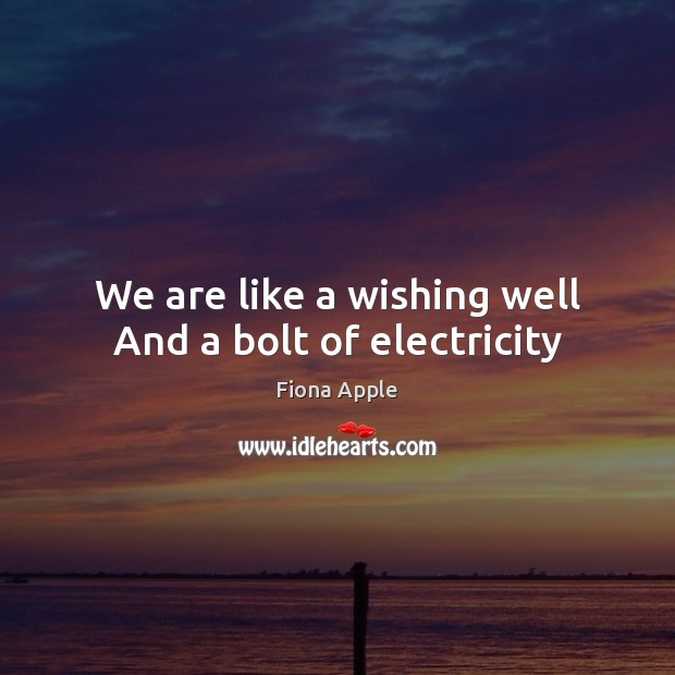 We are like a wishing well And a bolt of electricity Fiona Apple Picture Quote