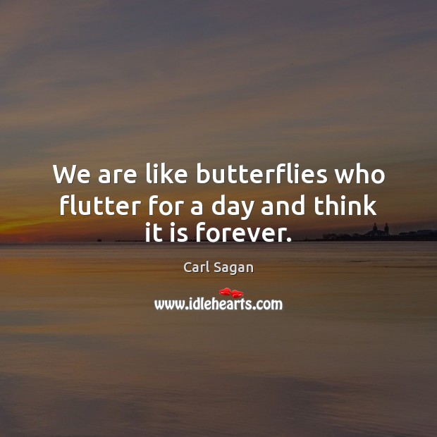 We are like butterflies who flutter for a day and think it is forever. Carl Sagan Picture Quote