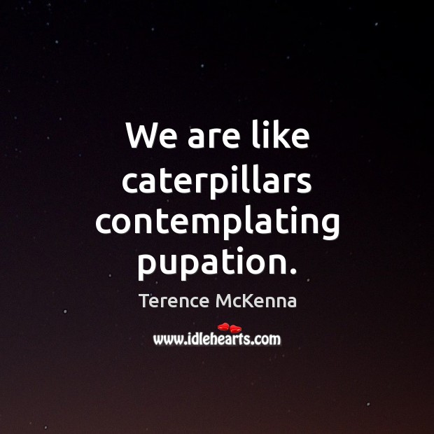 We are like caterpillars contemplating pupation. Image