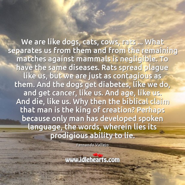 We are like dogs, cats, cows, rats … What separates us from them Image