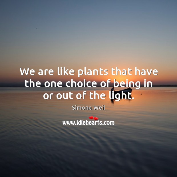 We are like plants that have the one choice of being in or out of the light. Simone Weil Picture Quote