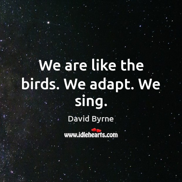 We are like the birds. We adapt. We sing. Image