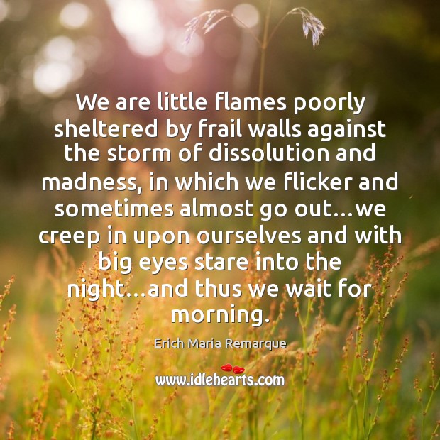 We are little flames poorly sheltered by frail walls against the storm Erich Maria Remarque Picture Quote