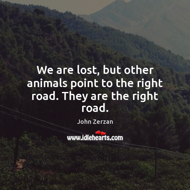 We are lost, but other animals point to the right road. They are the right road. John Zerzan Picture Quote