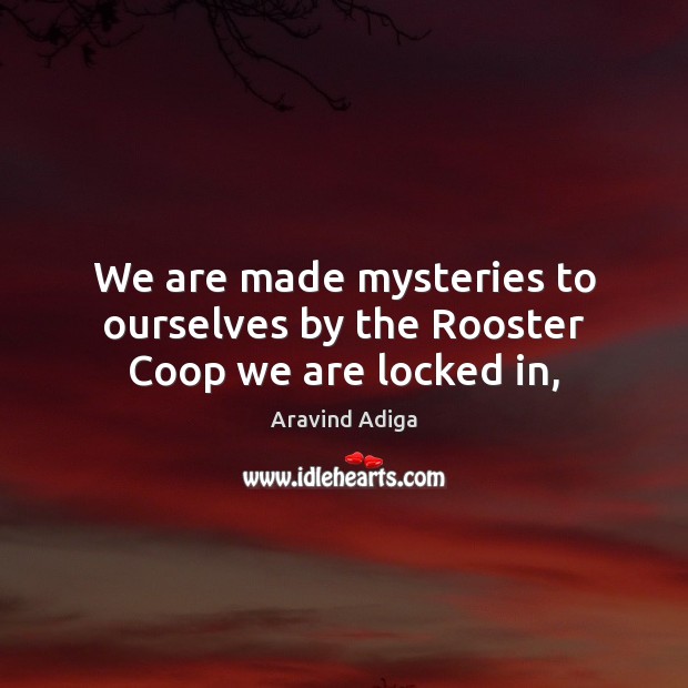 We are made mysteries to ourselves by the Rooster Coop we are locked in, Aravind Adiga Picture Quote