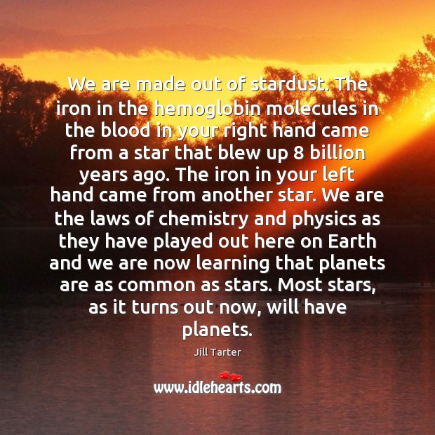 We are made out of stardust. The iron in the hemoglobin molecules Jill Tarter Picture Quote