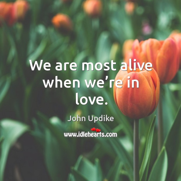 We are most alive when we’re in love. John Updike Picture Quote
