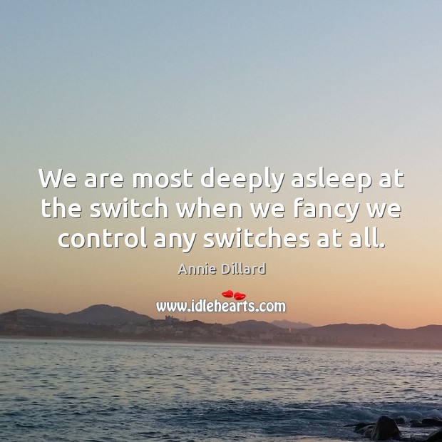 We are most deeply asleep at the switch when we fancy we control any switches at all. Annie Dillard Picture Quote