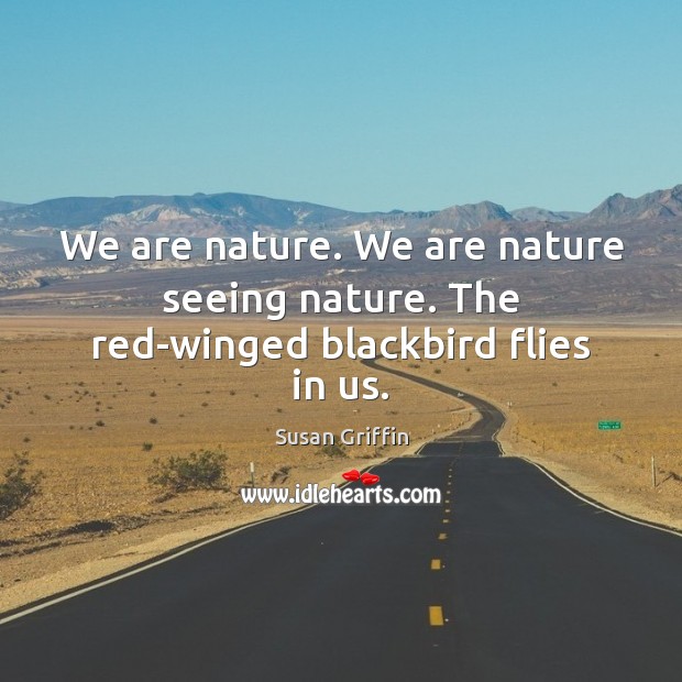 We are nature. We are nature seeing nature. The red-winged blackbird flies in us. Susan Griffin Picture Quote