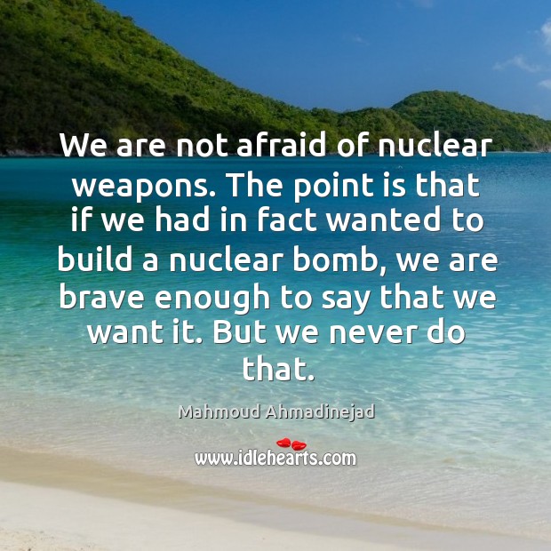 We are not afraid of nuclear weapons. The point is that if we had in fact wanted to build Image