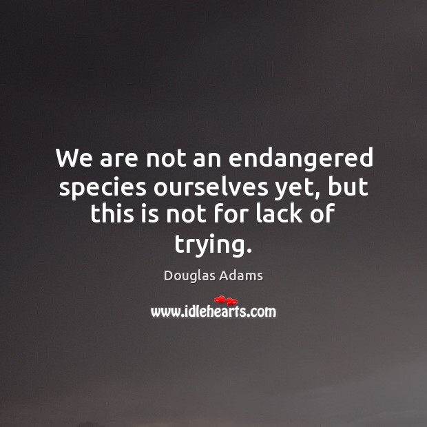 We are not an endangered species ourselves yet, but this is not for lack of trying. Douglas Adams Picture Quote