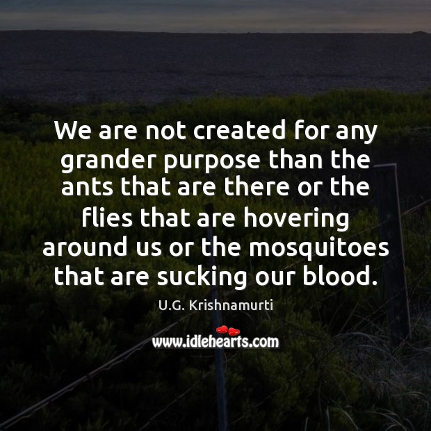We are not created for any grander purpose than the ants that U.G. Krishnamurti Picture Quote