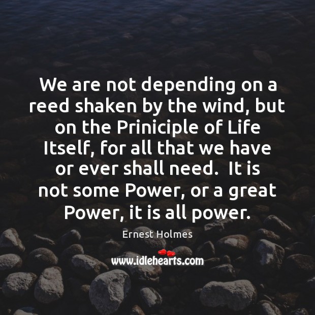 We are not depending on a reed shaken by the wind, but Ernest Holmes Picture Quote