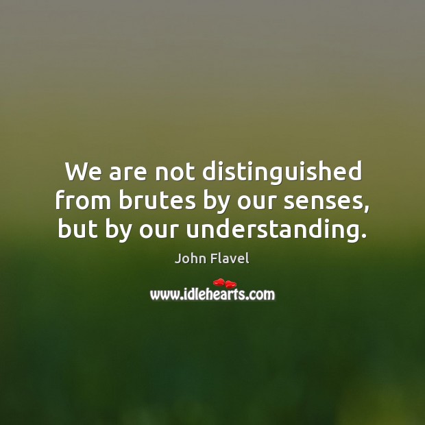 We are not distinguished from brutes by our senses, but by our understanding. John Flavel Picture Quote