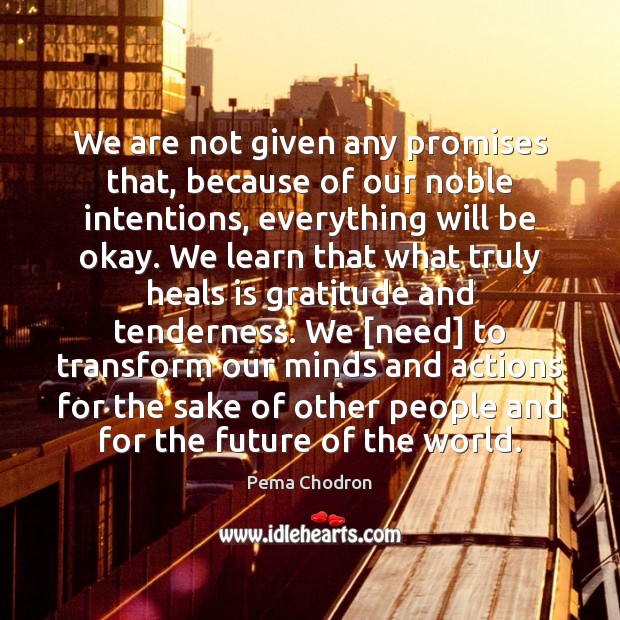 We are not given any promises that, because of our noble intentions, Pema Chodron Picture Quote