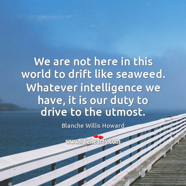 We are not here in this world to drift like seaweed. Whatever Driving Quotes Image