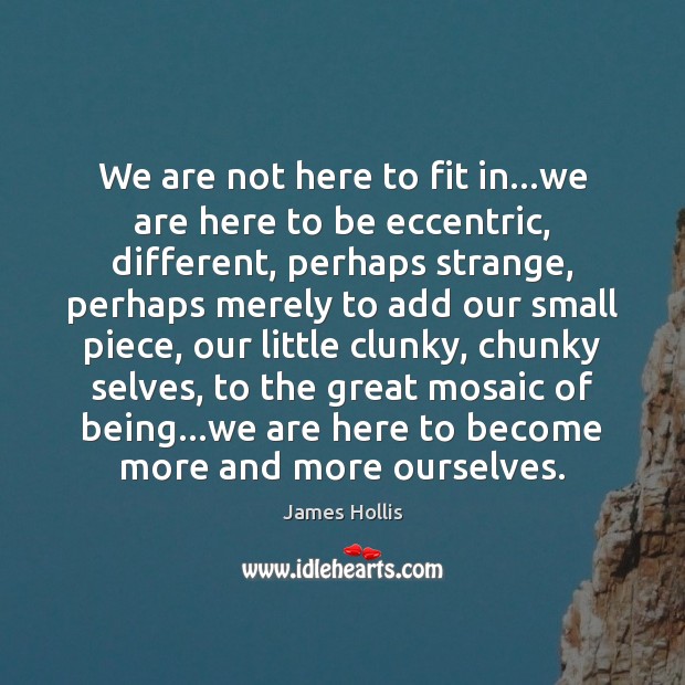 We are not here to fit in…we are here to be James Hollis Picture Quote