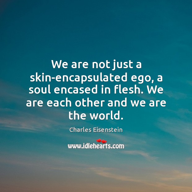 We are not just a skin-encapsulated ego, a soul encased in flesh. Charles Eisenstein Picture Quote