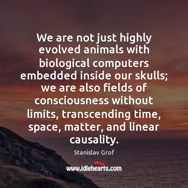 We are not just highly evolved animals with biological computers embedded inside Image