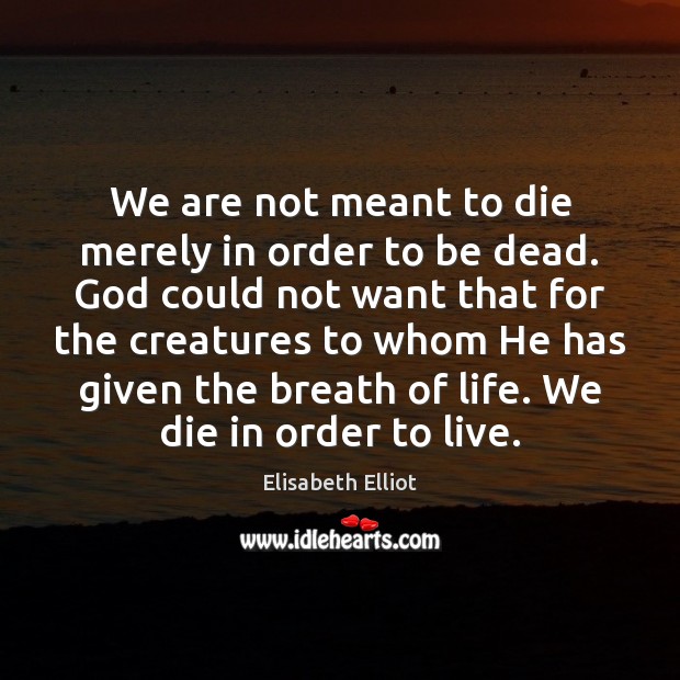 We are not meant to die merely in order to be dead. Elisabeth Elliot Picture Quote