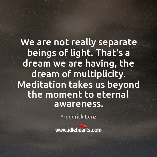 We are not really separate beings of light. That’s a dream we Frederick Lenz Picture Quote